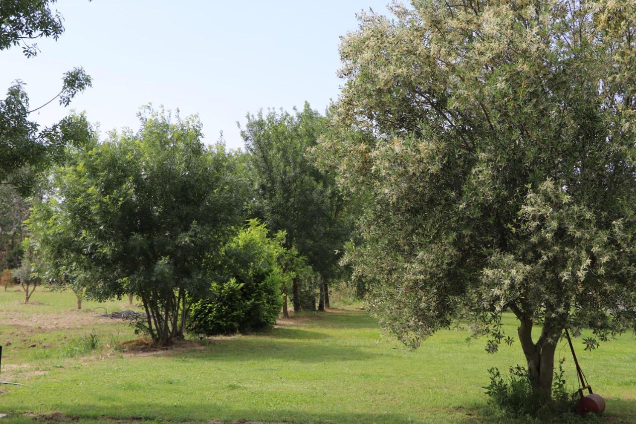 Mas Des Cerisiers Spa-Sauna Inclus Pour Tous Les Logements Avignon Exterior foto