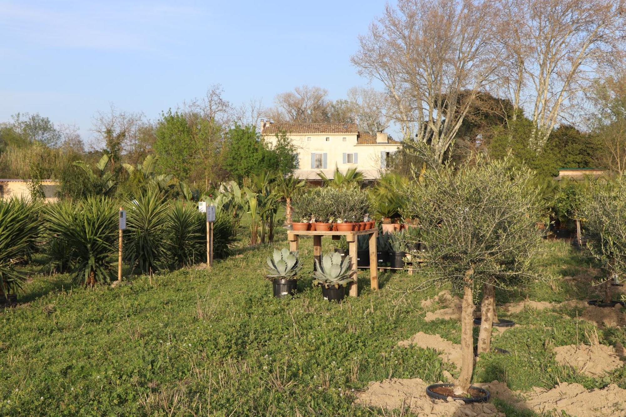 Mas Des Cerisiers Spa-Sauna Inclus Pour Tous Les Logements Avignon Exterior foto